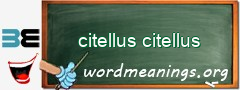 WordMeaning blackboard for citellus citellus